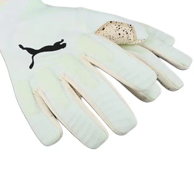 PUMA -