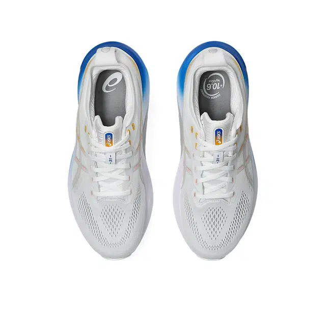 Asics Gel-Kayano 31