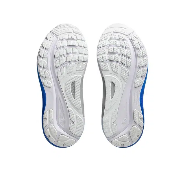 Asics Gel-Kayano 31