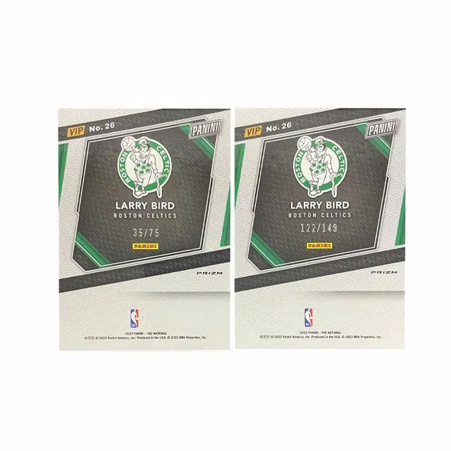 PANINI 2023 3575122149