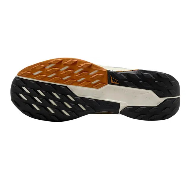 Nike Pegasus Trail 5 GORE-TEX