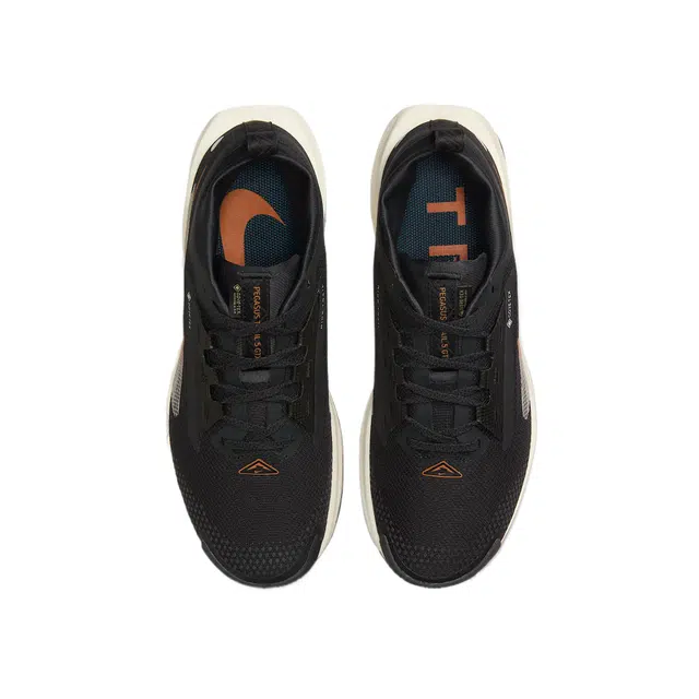 Nike Pegasus Trail 5 GORE-TEX