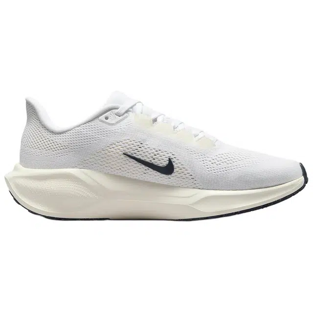 Nike Pegasus 41