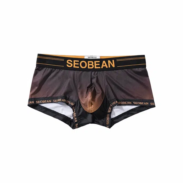 SEOBEAN 3