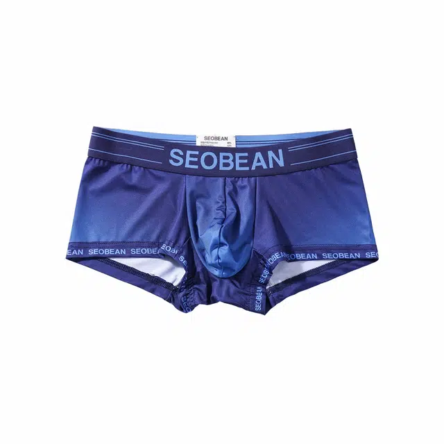 SEOBEAN 3