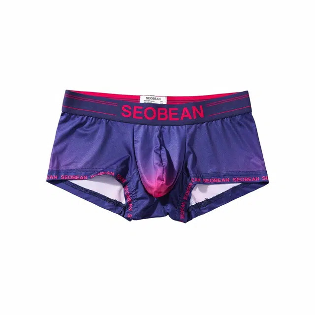 SEOBEAN 3