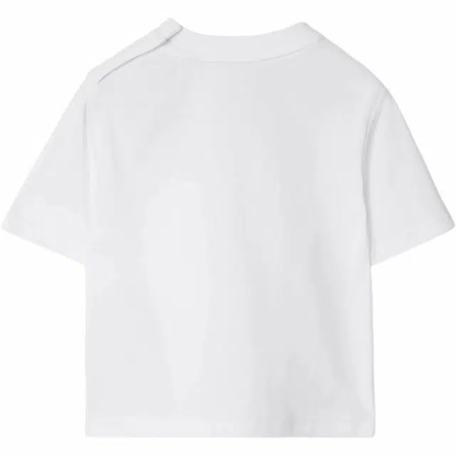 BurberryT FW24 Logo