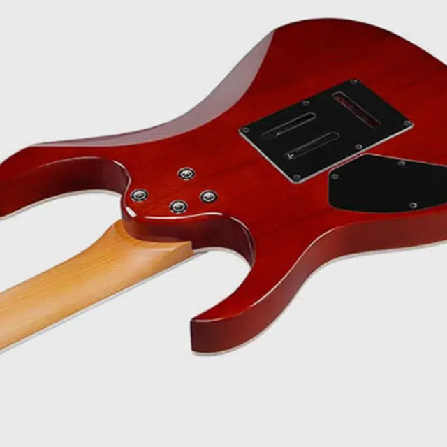 Ibanez GRG220PA1-BKB