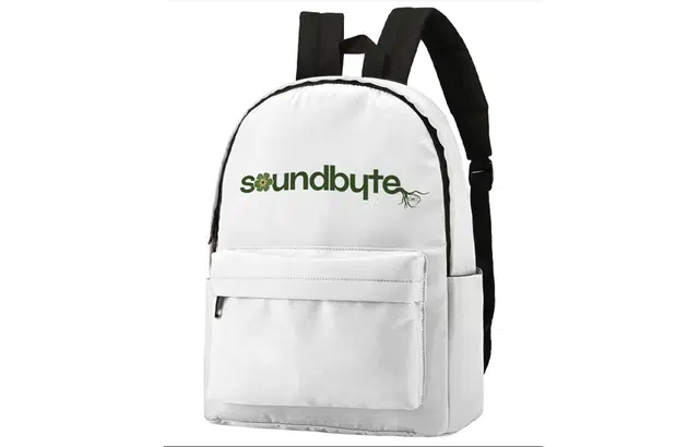 soundbyte