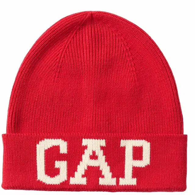 GAP logo