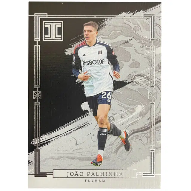 PANINI 2023-24 5462 P
