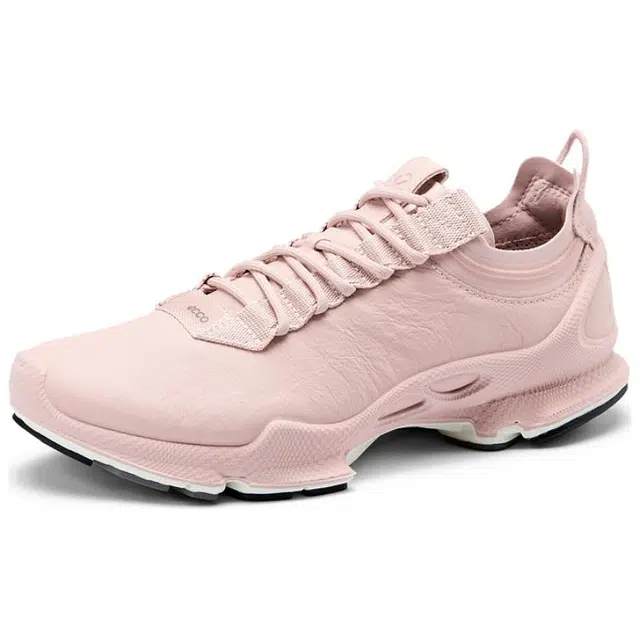 ecco C