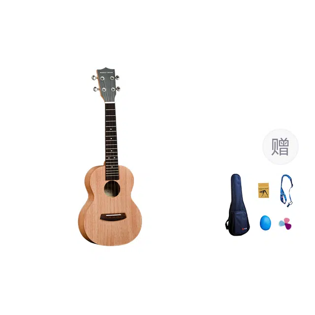 MODEST DREAM F20C 23"