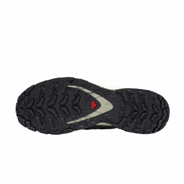 SALOMON XA Pro 3D V9 GTX
