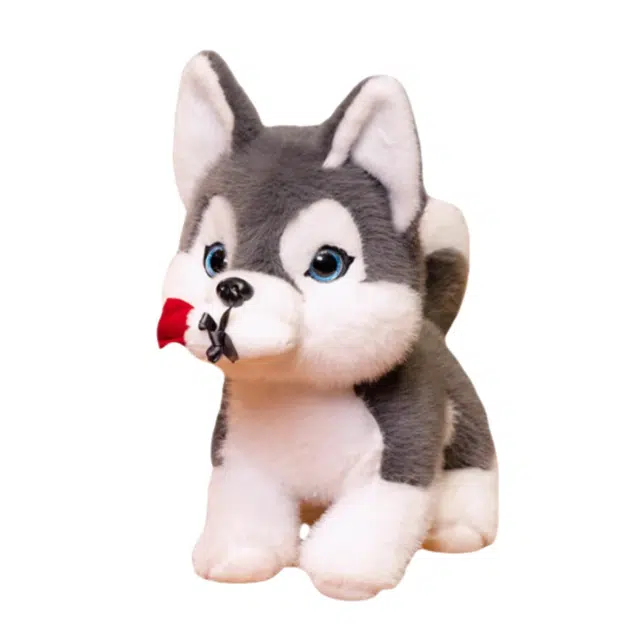30cm40cm