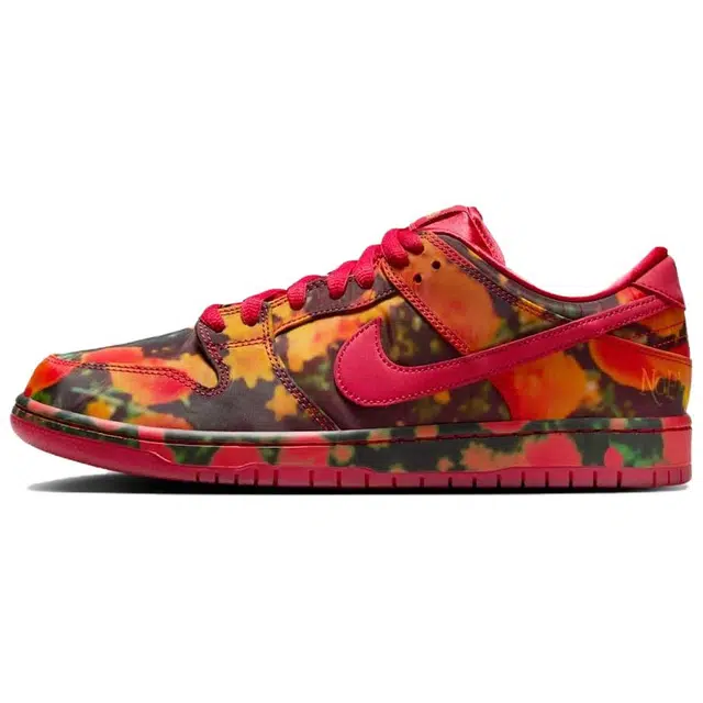 The Wizard of Oz x Nike SB Dunk Low Ruby Slipper