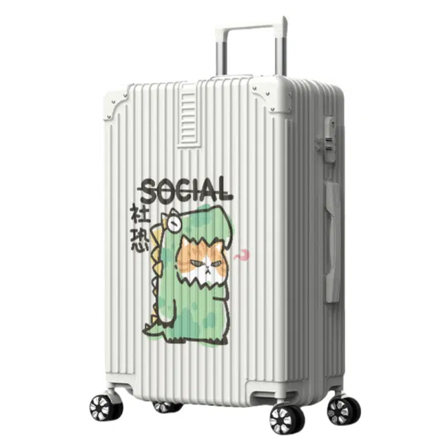 HACIN ABS 2024262228