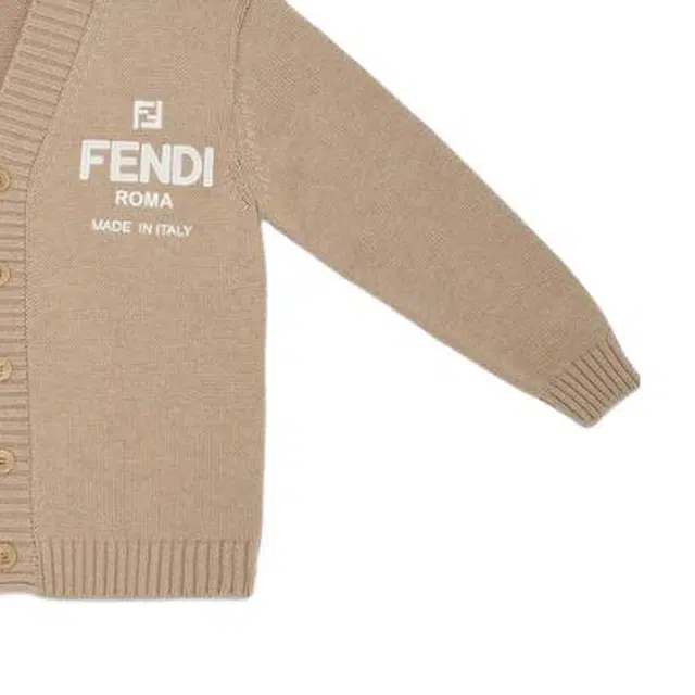 FENDI V