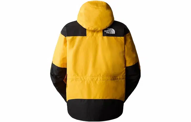 THE NORTH FACE GTX mountain jacket