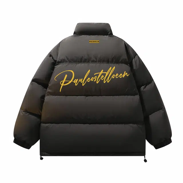PAUL COSTELLOE logo