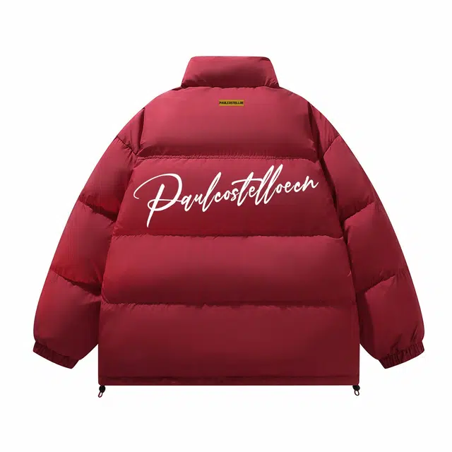 PAUL COSTELLOE logo