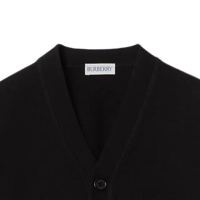 BurberryFW24 LogoV
