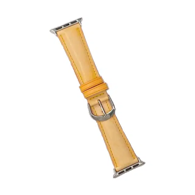 Applewatch S9S8SE76543