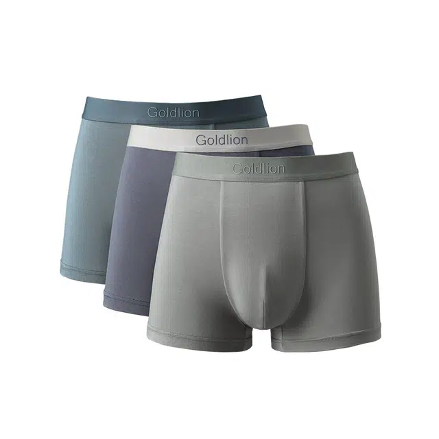 GOLDLION 3