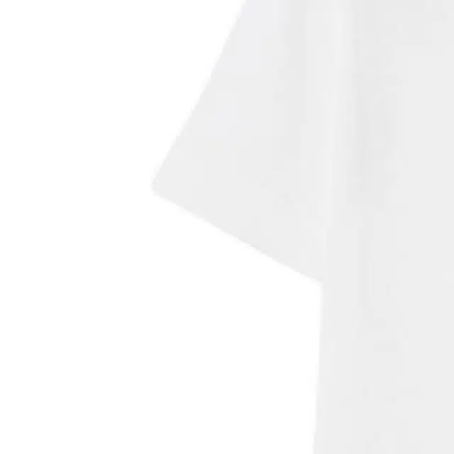 BurberryT FW24