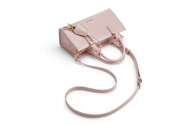 Charles & Keith Handbag