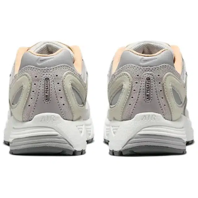 Nike Air Pegasus 2005