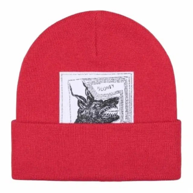 Supreme x The North Face Beanie