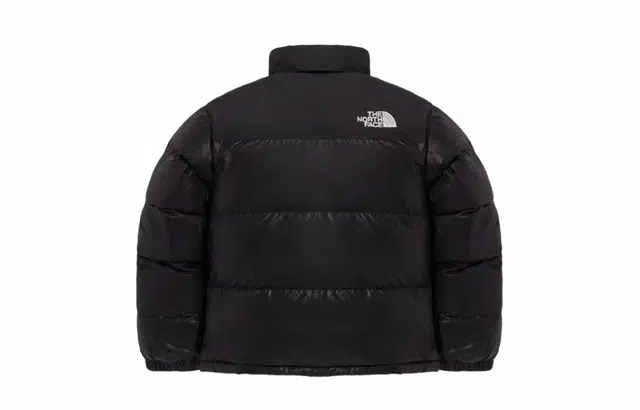 THE NORTH FACE Nuptse 811