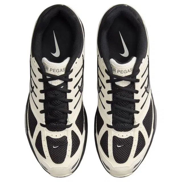 Nike Air Pegasus 2005