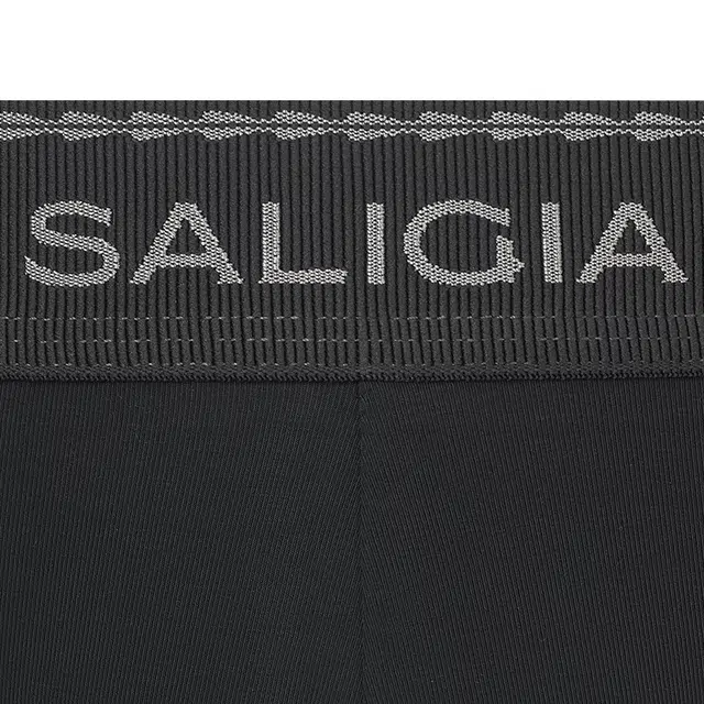 SALIGIA 3