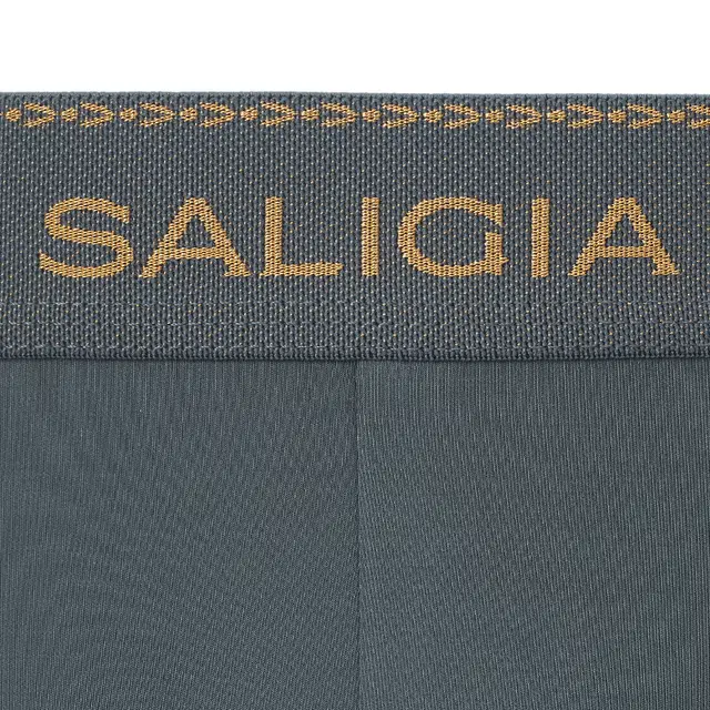SALIGIA 3