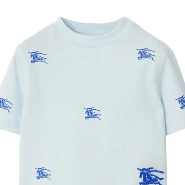 Burberry T