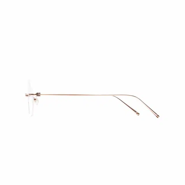 CARIN Sienna+