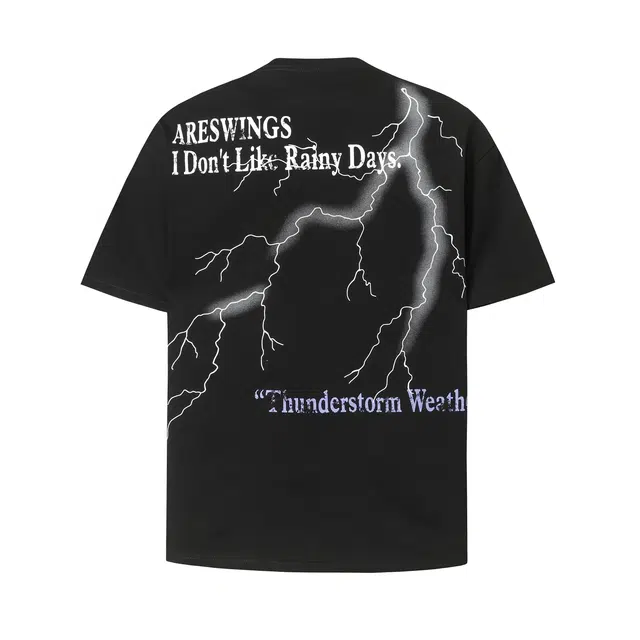 WELTER EXPERIMENT T