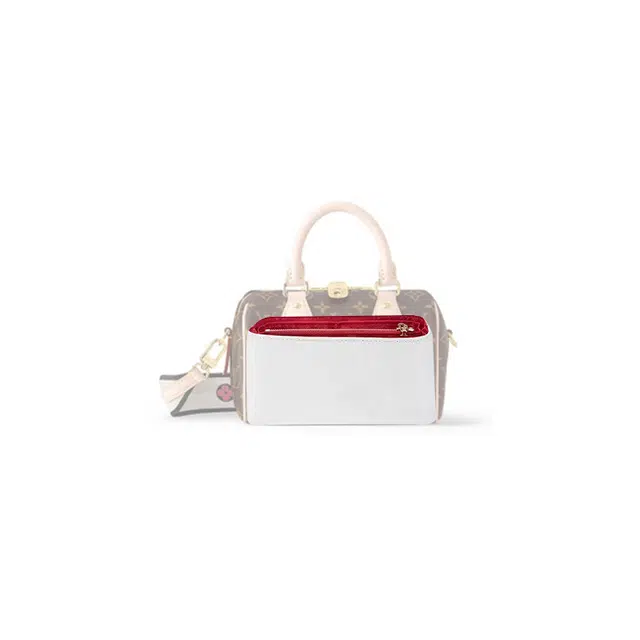 LOUIS VUITTON Speedy 20 diy