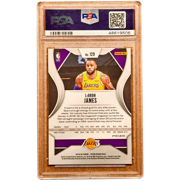 PANINI 2019-20prizm PSA10