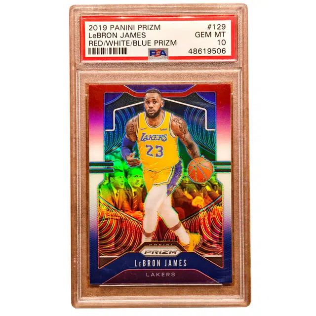 PANINI 2019-20prizm PSA10