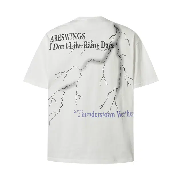WELTER EXPERIMENT T