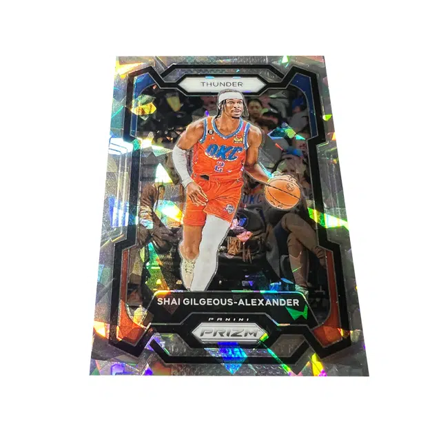 PANINI SGA