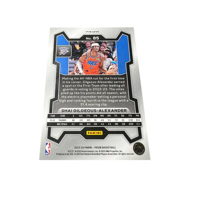 PANINI SGA