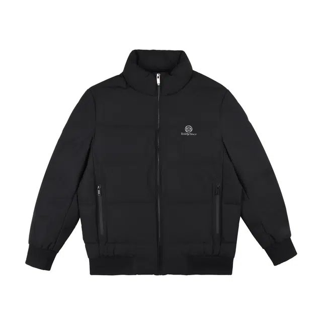 雷迪波尔 大朵鸭绒高频浮雕休闲 羽绒服 男款