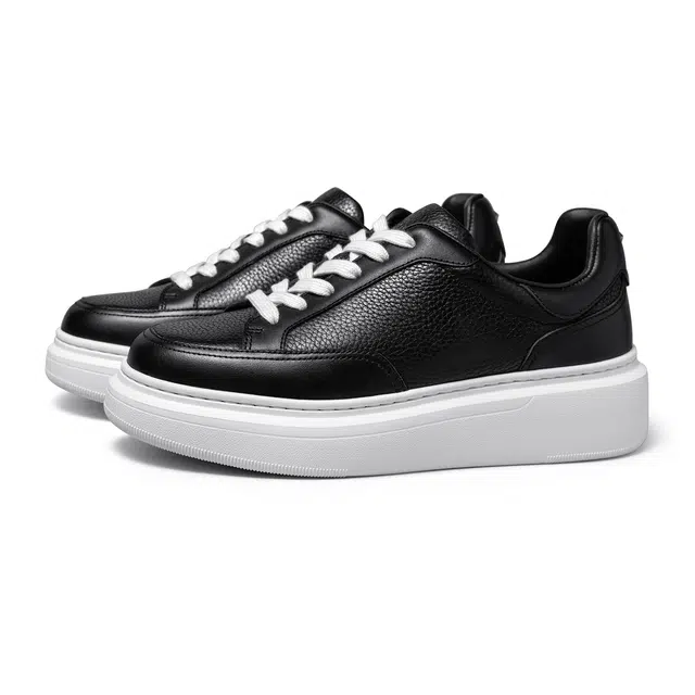 THOM WILLS trainer