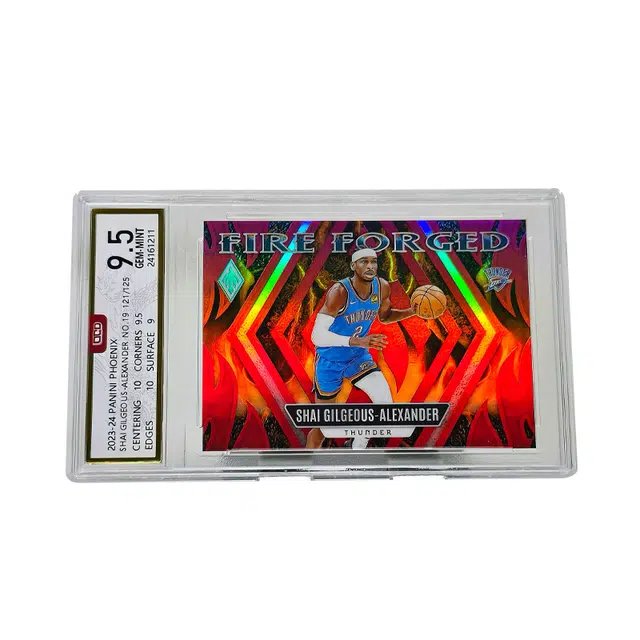 PANINI 121125 9.5