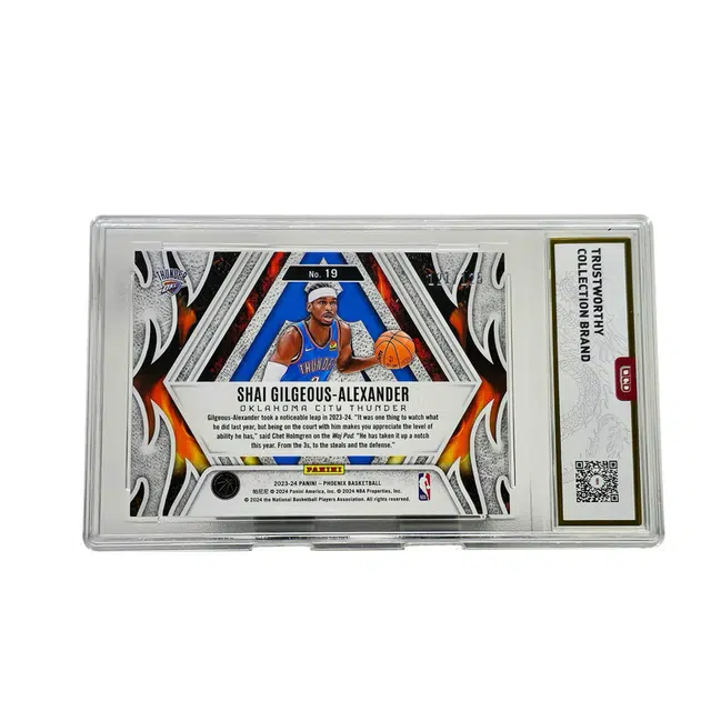 PANINI 121125 9.5