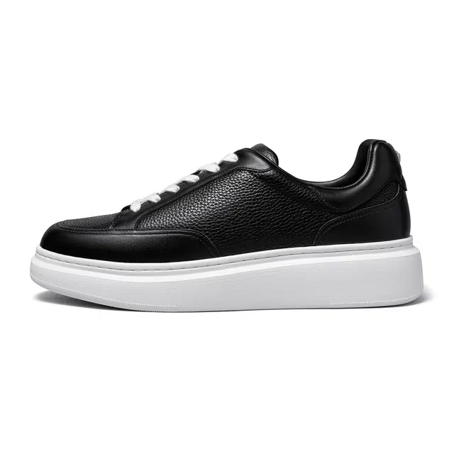 THOM WILLS trainer